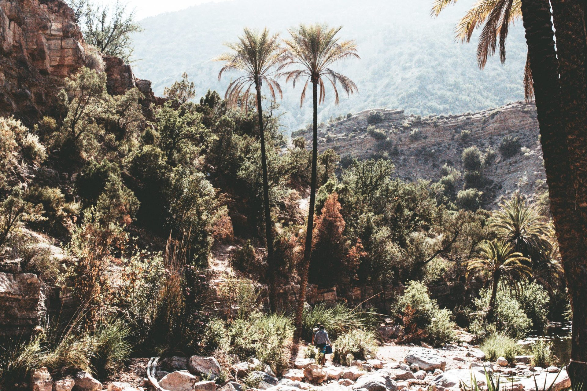 louis hansel v63knIeBJRw unsplash scaled Tours in Agadir: Best Excursions, Day Trips & Safaris
