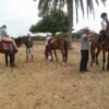 HORSE RIDE IN AGADIR - Image 4