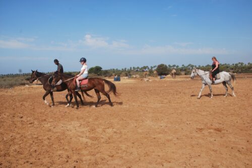hors ride in agadir