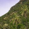 PARADISE VALLEY FROM TAGHAZOUT - Image 6