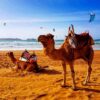 temp regrann 1613473136243 Tours in Agadir: Best Excursions, Day Trips & Safaris