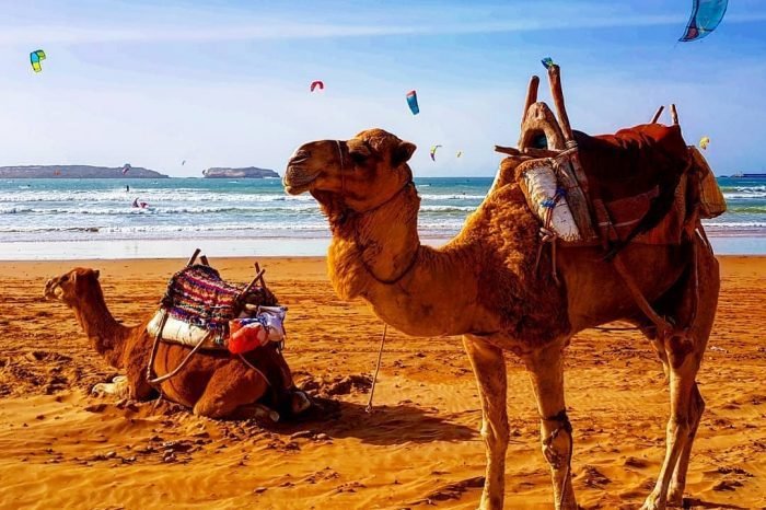 TAGHAZOUT CAMEL RIDE
