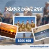 Agadir Camel Ride tour along the beach during a stunning Moroccan sunset.