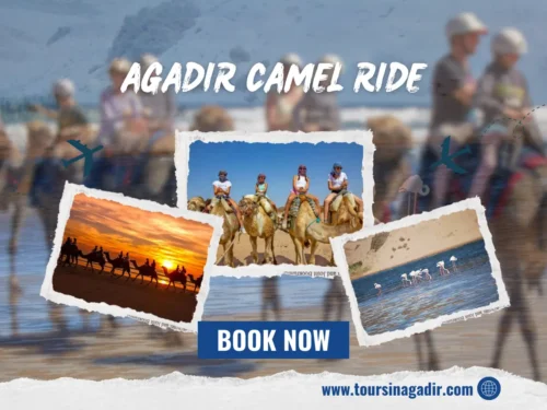 Agadir Camel Ride tour along the beach during a stunning Moroccan sunset.