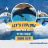 Promotional graphic for the Agadir Dolphin World Tour with Ticket, featuring dolphins performing exciting tricks such as jumping through hoops and balancing balls at the marine park.