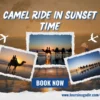 Camel ride in Agadir during sunset time featuring tourists trekking along the beach and scenic coastal views.