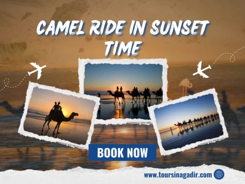 Camel ride in Agadir during sunset time featuring tourists trekking along the beach and scenic coastal views.