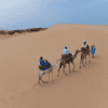 agadir desert camel ride