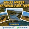 Souss Massa National Park Tour Tours in Agadir: Best Excursions, Day Trips & Safaris