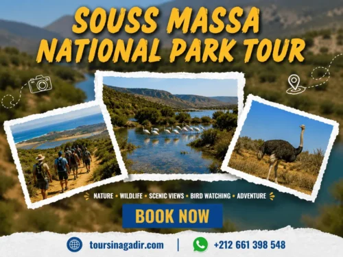 Souss Massa National Park Tour