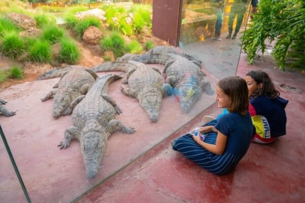 crocoparc day tour