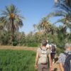 palmeraie tiout taroudant