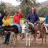 tiout taroudant donkey tour