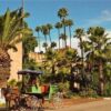 taroudant tour from agadir