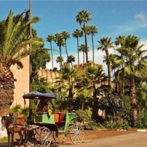 taroudant tour from agadir